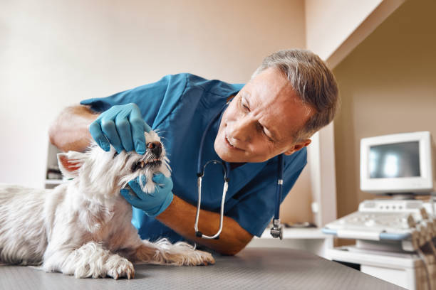  Pelican Bay, TX Emergency Dentist Pros