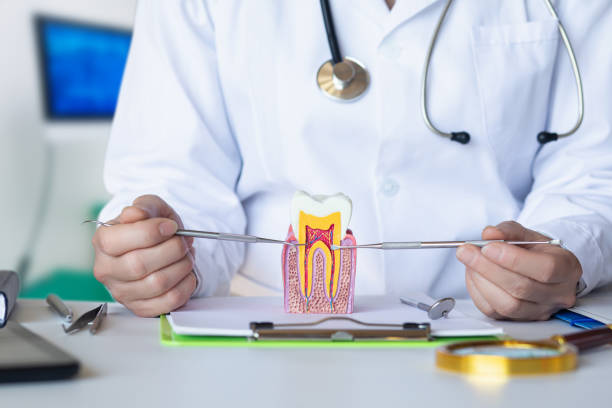 Best Emergency TMJ Treatment in Pelican Bay, TX